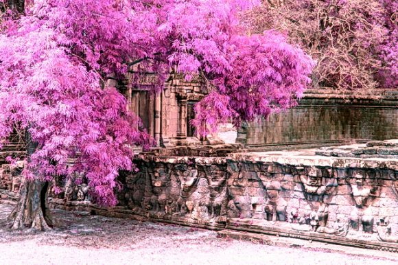 Angkor-Wat-Asien-Kambodscha-Surreal
